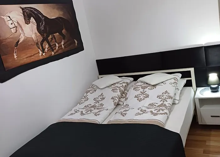 Niko Apartment Gniezno